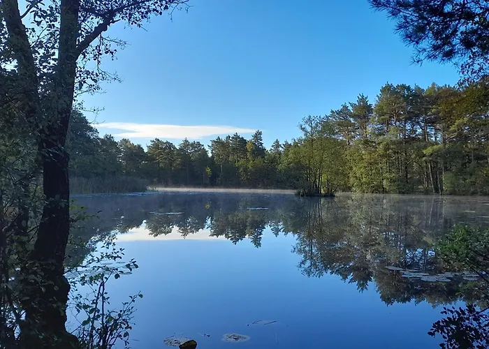 Sosnowka - Nad Morzem *